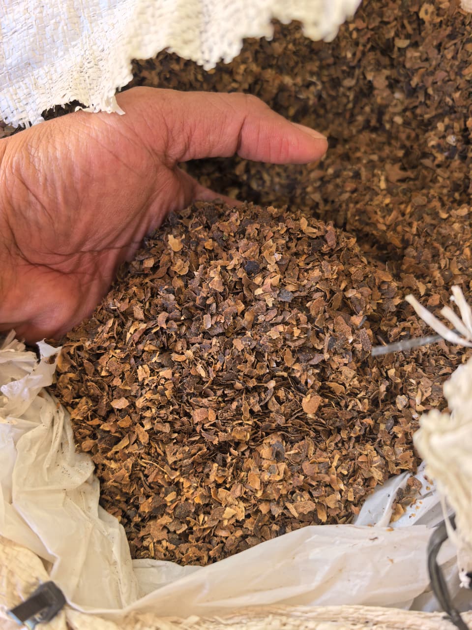 Kulit kopi