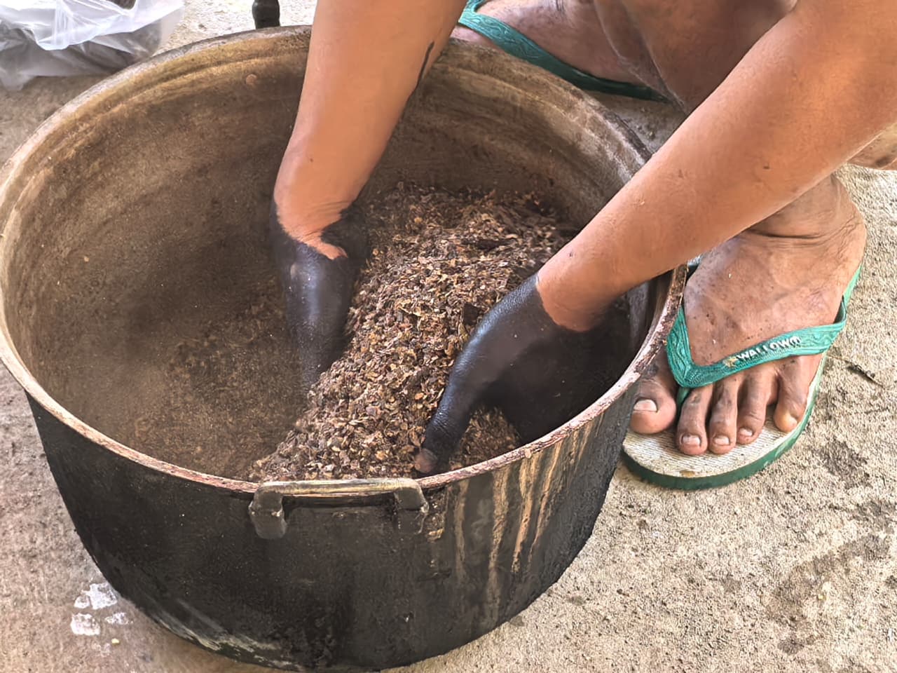 Kumpulkan kulit kopi