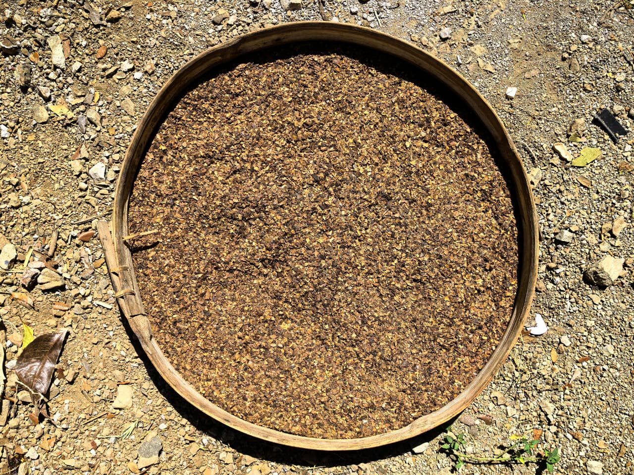 Limbah kulit kopi sebagai bahan baku pewarna alami batik